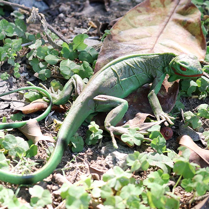 Oenux-figuras de acción de lag - Model Kit Lizard reseña y precio