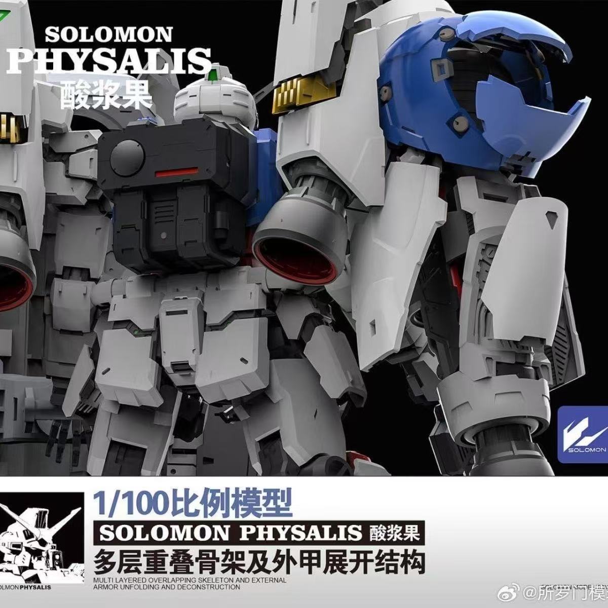 En Stock SOLOMON PHYSALIS GP02 - Model Kit Daban reseña y precio