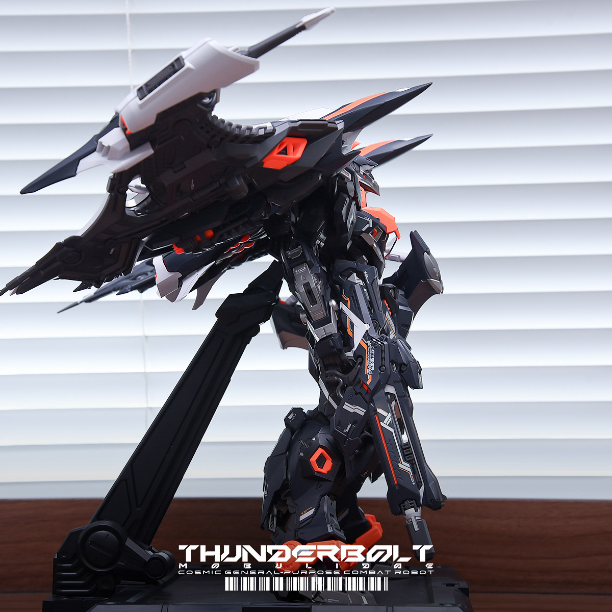 THUNDERBOLT MOBULIDAE 1/100 Ju - Model Kit Infinite Dimension reseña y precio